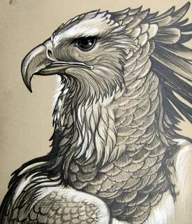 Harpy eagle tattoo  Eagle tattoo, Black and grey tattoos, Lower