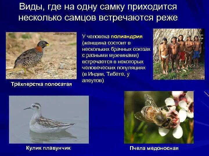 Людям приходиться по несколько