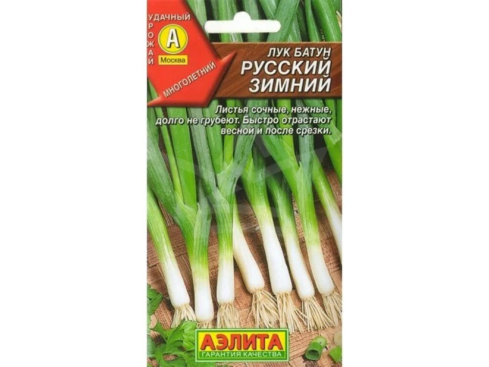 Лук батун под зиму. Батун богатырь гавриш (лук на зелень). семена гавриш удачные семена лук батун русский зимний 1 г. аэлита лук батун изумрудный. батун русский зимний аэлита.