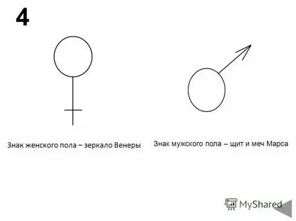 Что означает пол 4