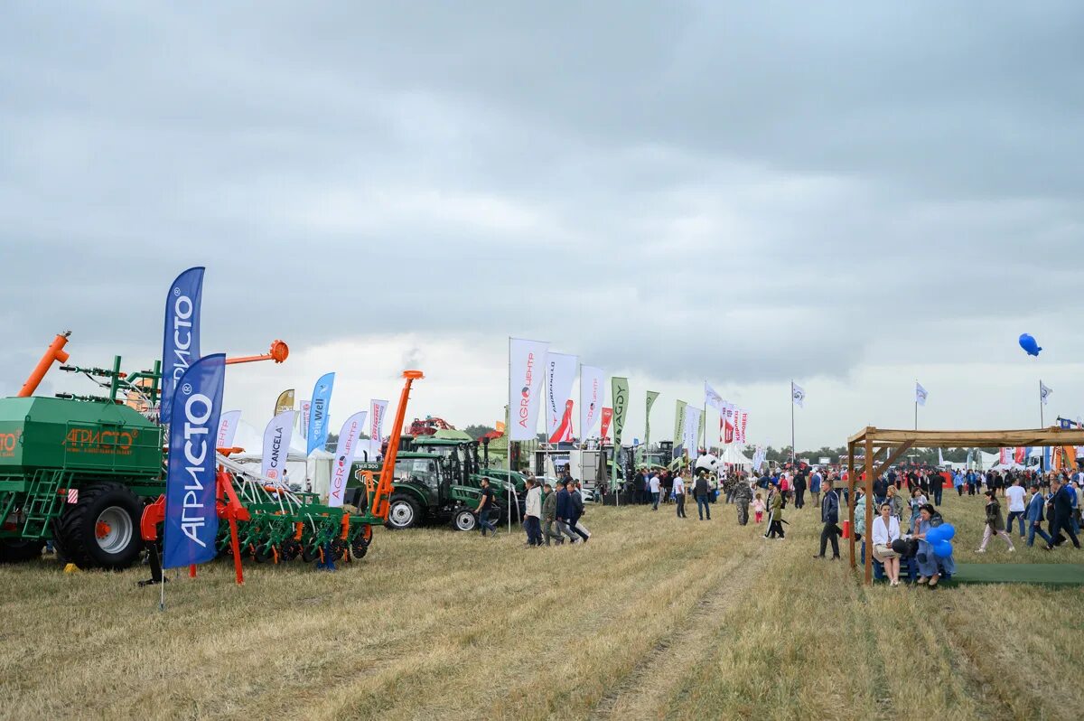 день всероссийского поля 2023. тамбовский день поля 2024. всероссийский день поля 2024. день тамбовского поля 2023. день тамбовского поля 2024.