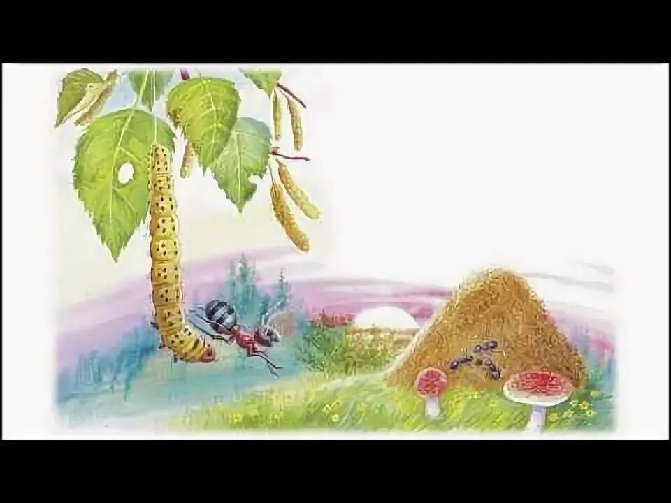 Как муравьишка домой слушать аудиосказку. Как муравьишка домой слушать аудиосказку