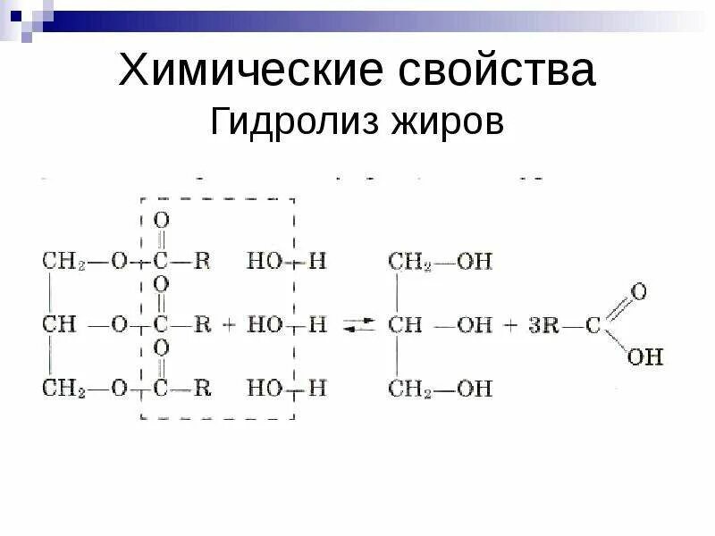 Свойства жиров гидролиз. Кислотный гидролиз жиров реакция. Реакция кислотного гидролиза жира. Щелочный гидролиз жира. Химические свойства жиров гидролиз и гидрирование жидких жиров.