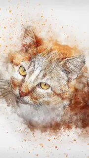 Action cat