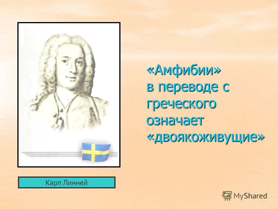 Патриот с греческого переводится. Галя в переводе с греческого. Школа перевод с греческого.