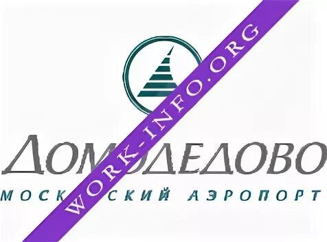 Компания ренне групп. Московский аэропорт Домодедово логотип. ЗАО Домодедово Эссет менеджмент. ТВ Домодедово логотип. Домодедово Эссет менеджмент логотип.