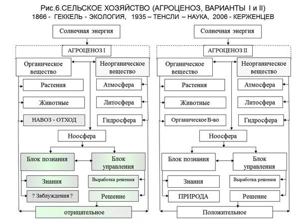 Структура агробиоценоза. Структура агроценоза. Агроценоз схема. Схема экосистема агроценоз. Круговорот веществ в агроценозе