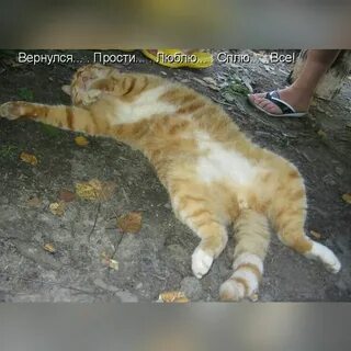 Добро не лежит на дороге его случайно