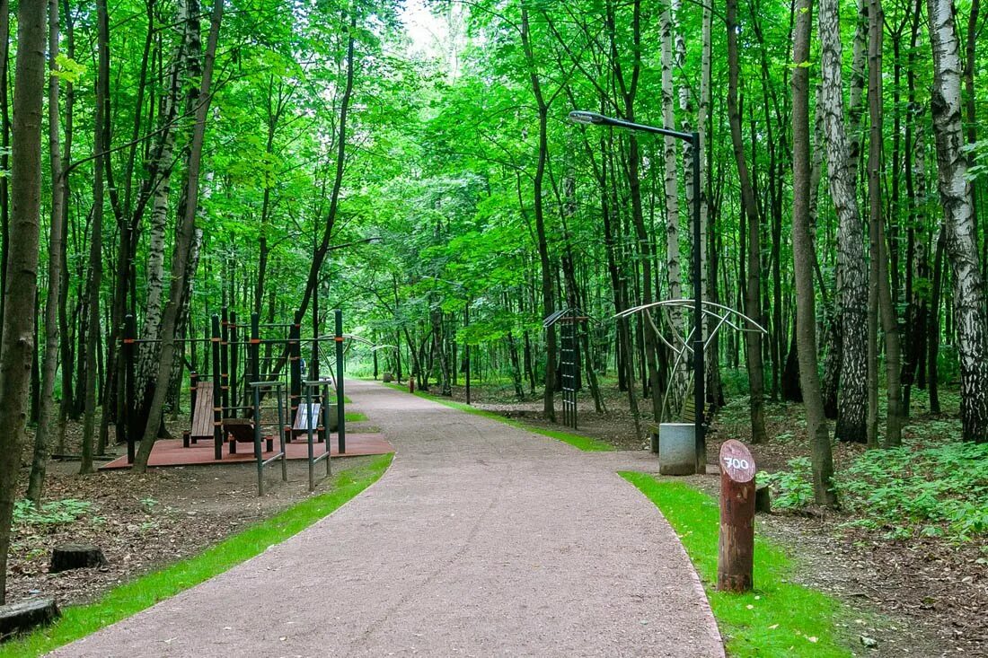 Stone sokolniki. Парк Сокольники тропа. Парк Сокольники тропа здоровья. Парк Сокольники лес тропа здоровья. Парк Сокольники тропинки дорожки.