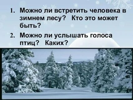 В зимнюю пору можно услышать эхо 1