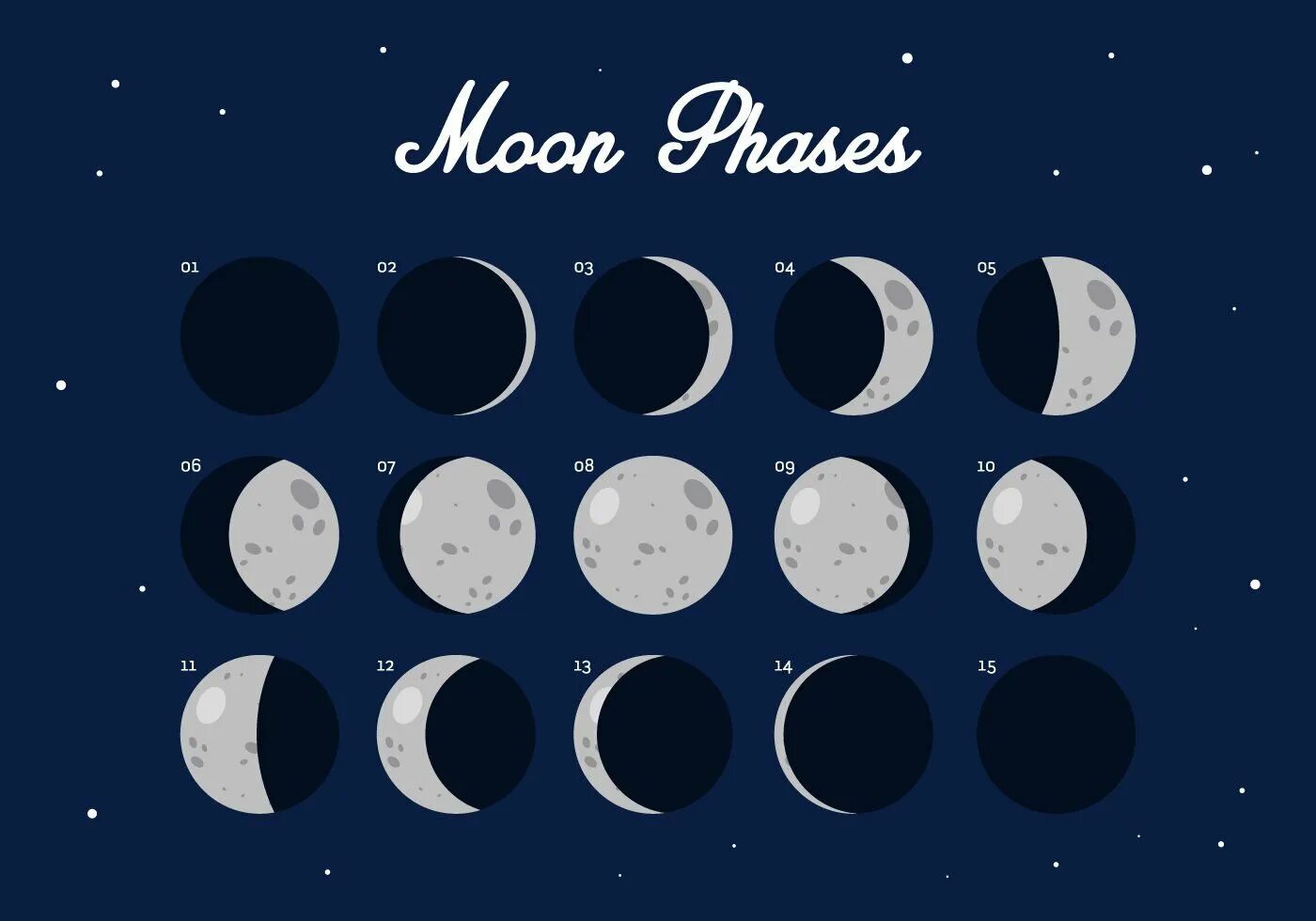 Moon shapes. Фазы Луны. Фазы Луны силуэт. Циклы Луны вектор. Лунные фазы вектор.