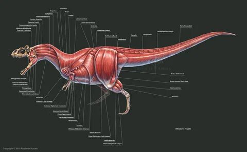 Jurassic World, Jurassic Park, Anatomy Reference, Pose Reference, Zbrush, S...