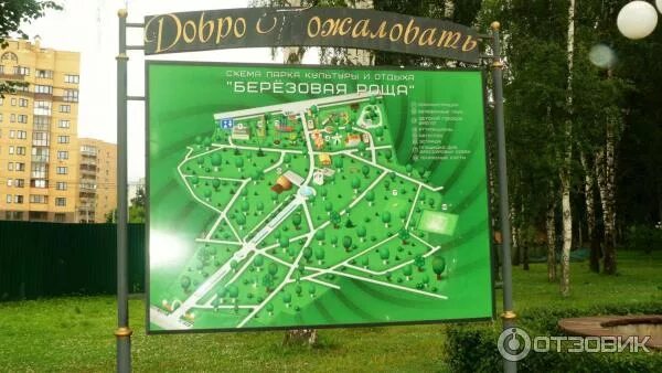 Схема березовой рощи