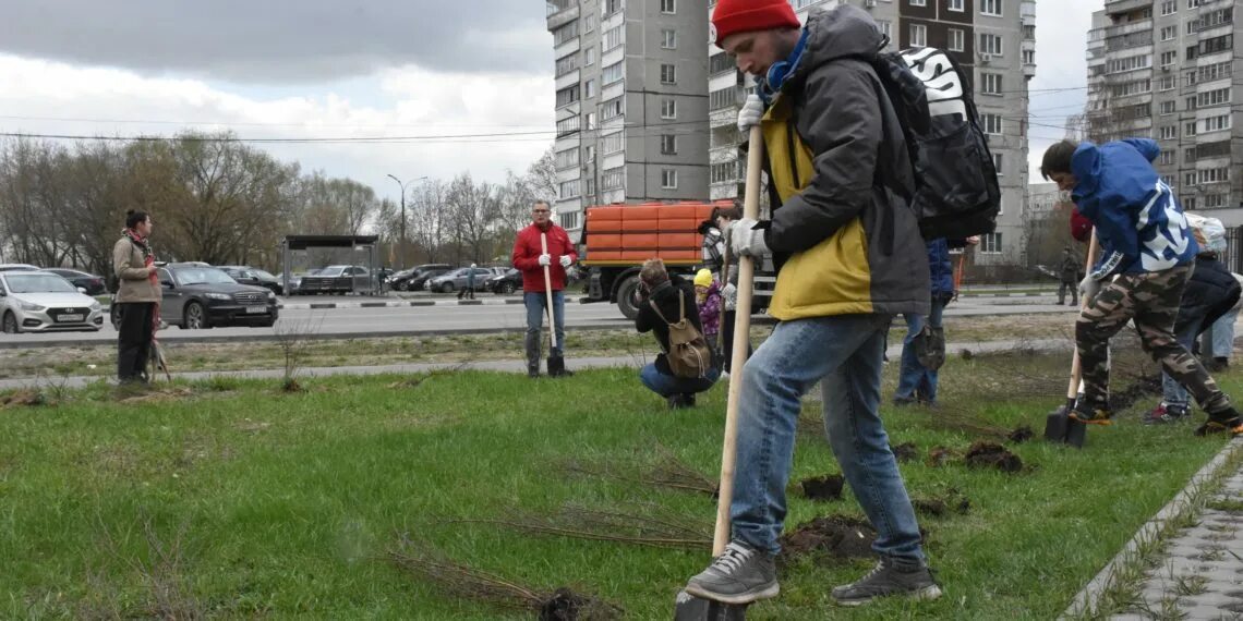 В ряд высадили 12 деревьев. Май в городе. Жуковский ремонт сквера. День Победы в лесу.