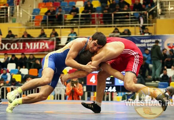 вольная борьба подростки. чемпионат европы по вольной борьбе 2023. скфо борьба 2024. скфо по вольной борьбе 2015 год ессентуки. скфо борьба 2024.