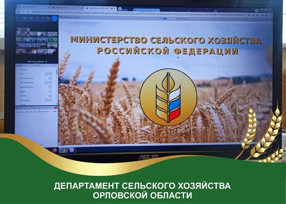 отделы растениеводства. отрасли сельского хозяйства россии 9 класс растениеводство. основные направления растениеводства. химизация сельского хозяйства в ссср. отделы растениеводства.