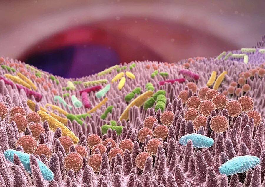 бактерии на коже человека. микробы на теле человека. микробиом человека под микроскопом. бактерии микробиом. микробы в организме человека.
