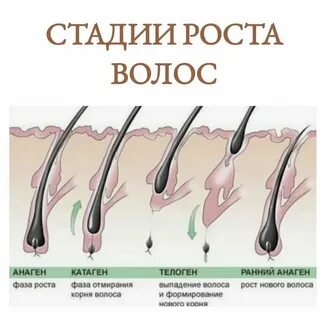 Сколько в норме выпадает ресниц в день