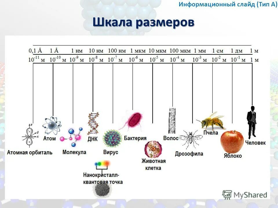 Объект имеющий наноразмер. Объект имеющий наноразмер