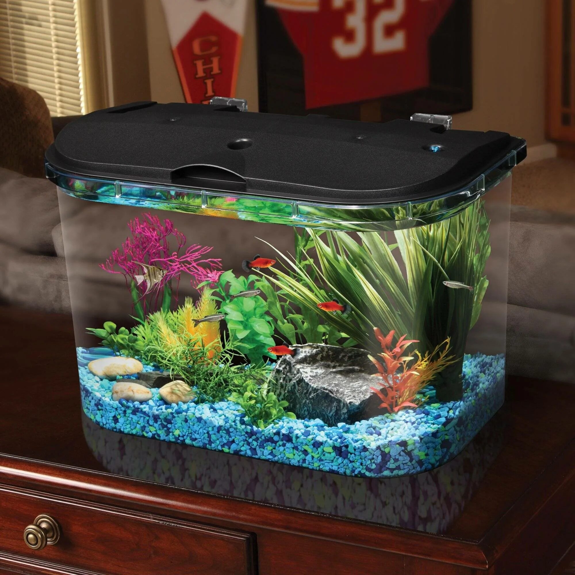 Каким должен быть аквариум. Рыбки для аквариума. Аквариум Ultimate. Best Betta Fish Tanks. Fish Tank.