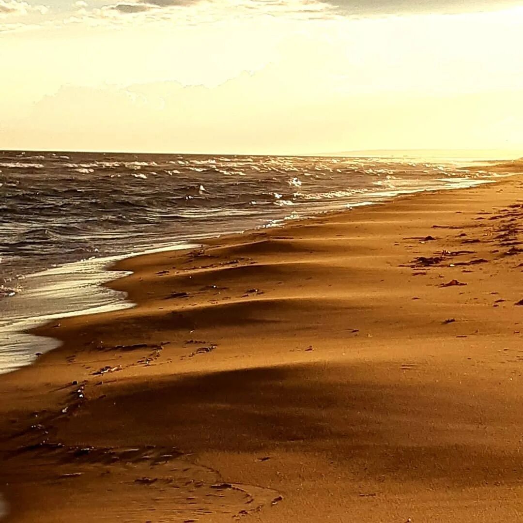 Песчан ые. Благовещенск тамань дюны песчаные. северное море дюны. канищевские дюны. дюны море йемен.
