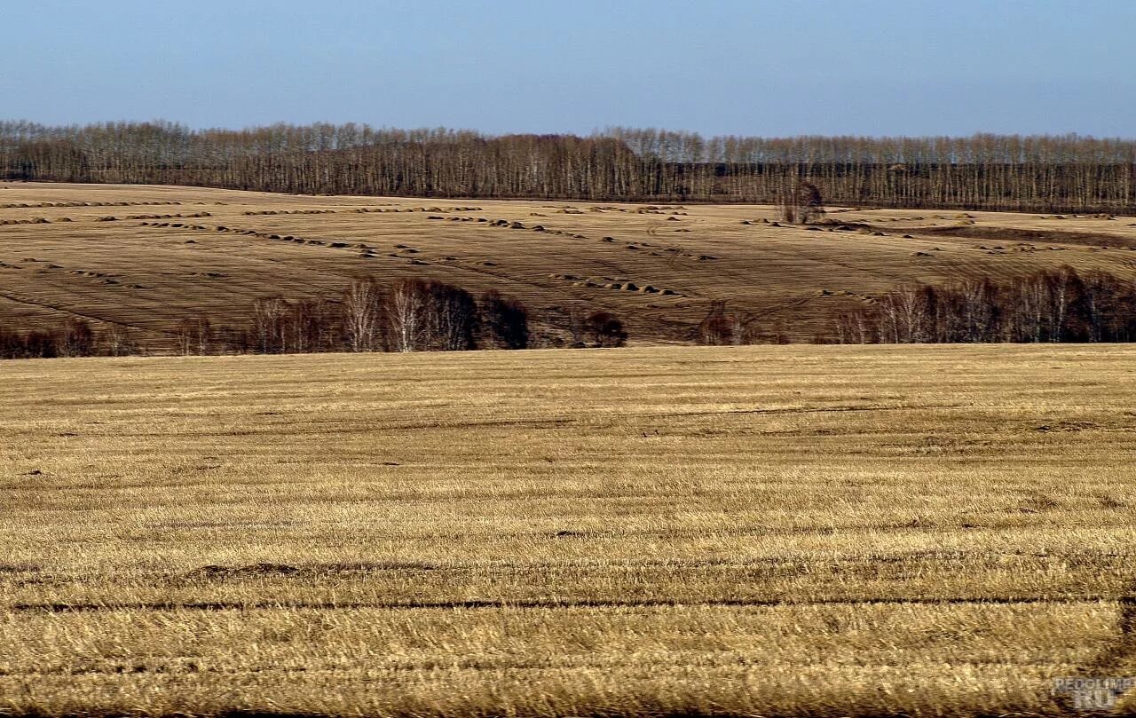 Баган Новосибирская область. Новосибирская область Баганский район село Андреевка. Баган Новосибирская область фото. Село Ивановка Баганский район Новосибирская область.