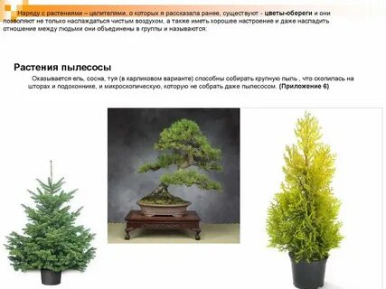 Варианты способные