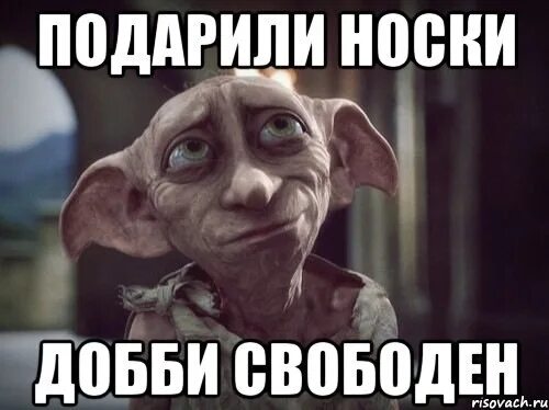 Добби и носок. Добби свободный эльф. добби носок добби свободен. добби сдал госы добби свободен. носки гарри поттер добби свободен.