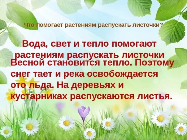 Как помочь растениям. Весенние пробуждения растений задания. Растения весной задания. Как нам помогают растения. Чем вода помогает растениям