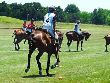 Riding competition