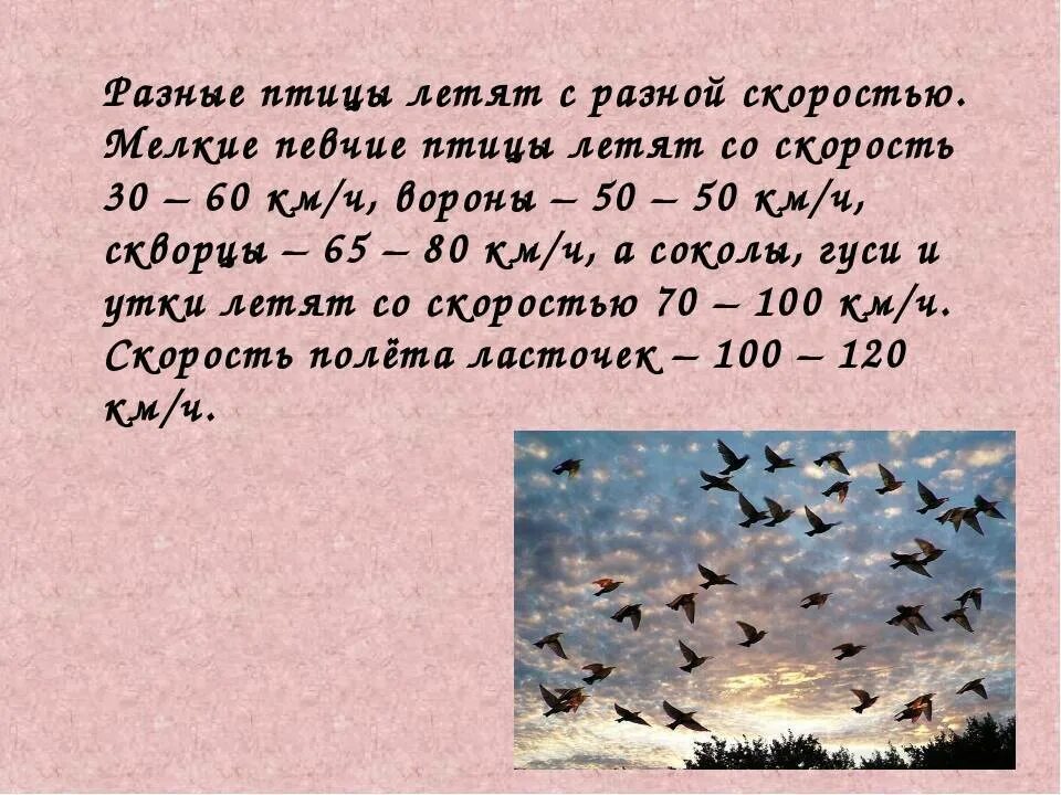 Почему летят дня