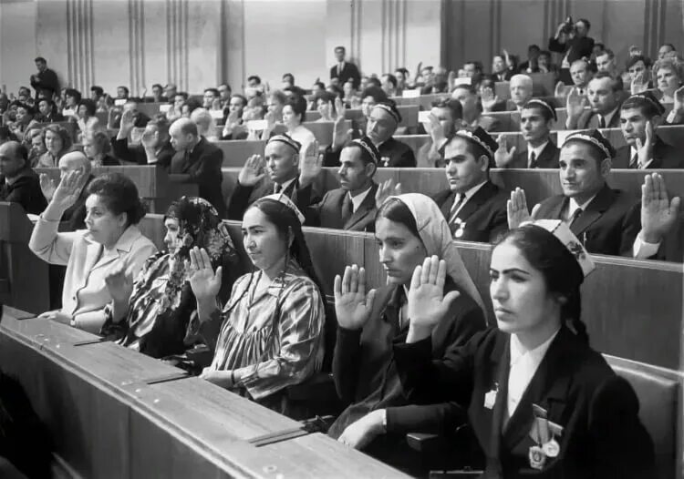 Много советов народных