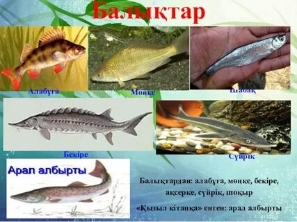 Мәжбүр жалап және трахается порно видео жетілген