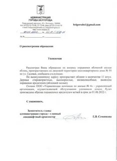 Белгород 1 письмо