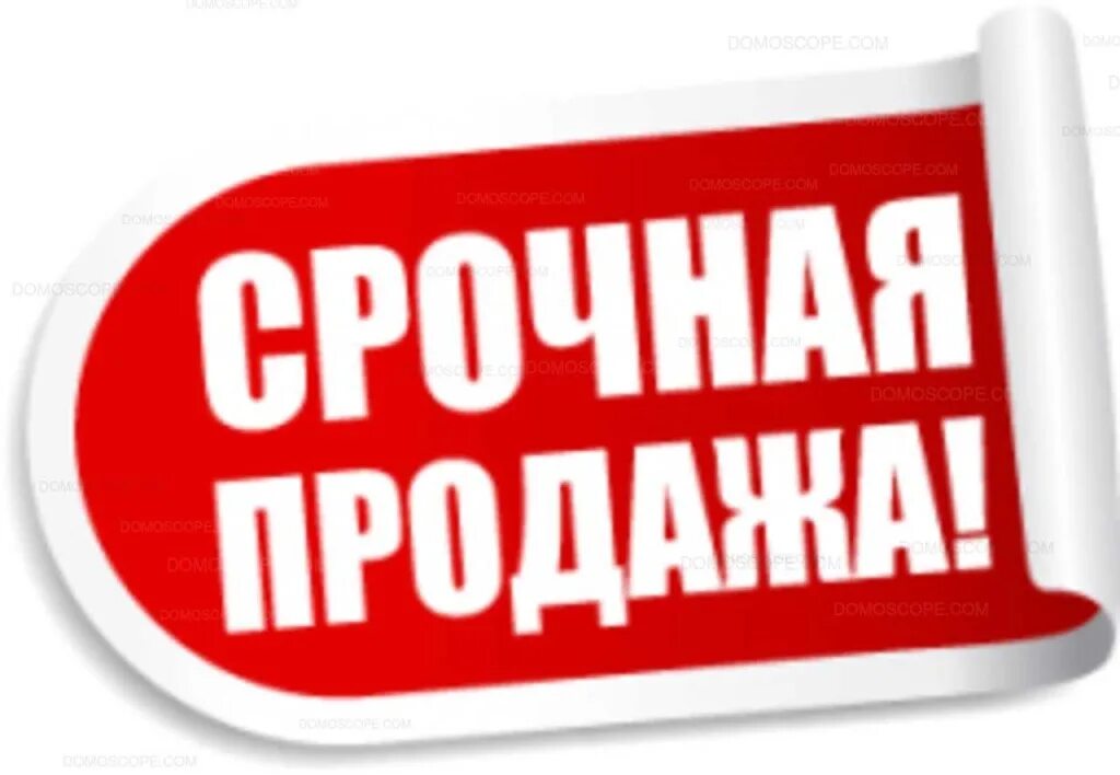 Рынок барахолка. Продам дешево в москве. Продам дешево в москве. Кресло кровать на барахолке. Оборудование для торговли одеждой б/у иваново.