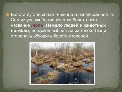 Топи до болота