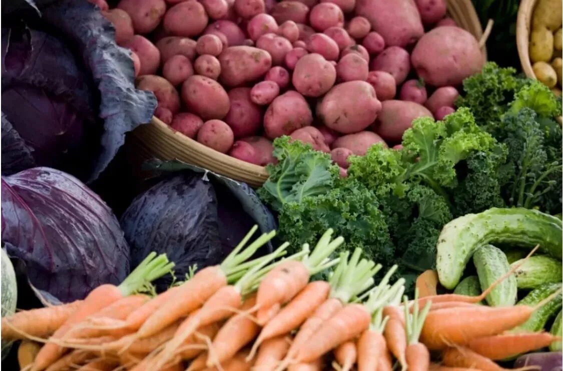 Какие продукты растениеводства ты используешь. Продукты растениеводства. рынок сельского хозяйства. сельскохозяйственная продукция. продукты сельского хозяйства.