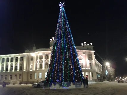 Ели тюмень