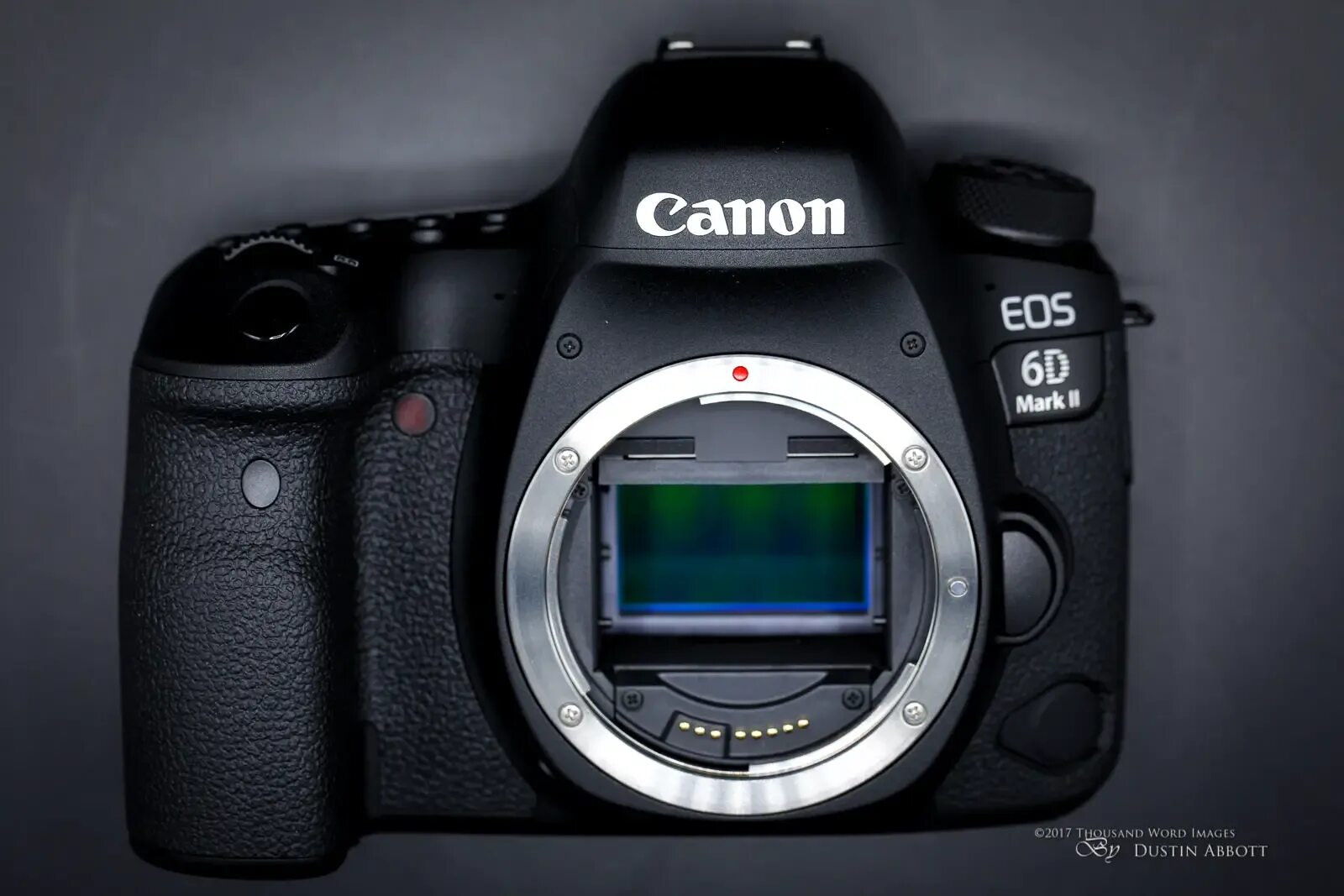 Canon 6d mark купить. Canon 6d Mark. Canon EOS 6d Mark. Canon 6d Mark II. EOS 6d Mark II.