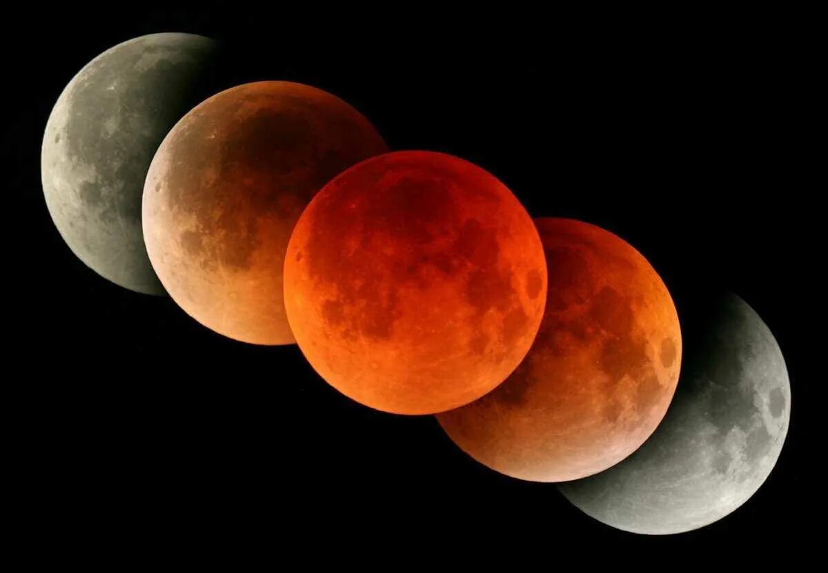 Как выглядит лунное затмение. Lunar eclipse. частичное лунное затмение. the blood moon la luna sangre cast pink. eclipse lua venus.