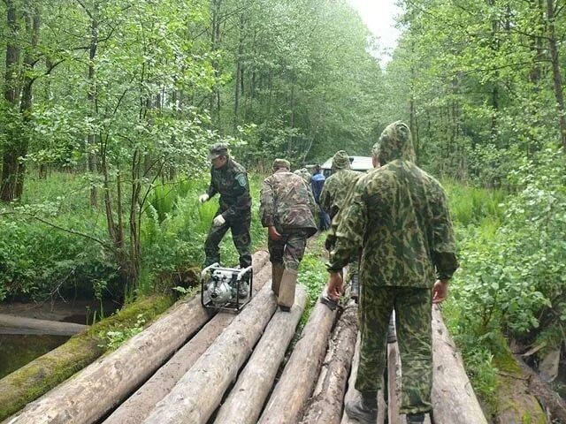 Организация охраны заповедников. Охрана заповедника. охранник заповедника. оружие охраны заповедников. егерь оопт.