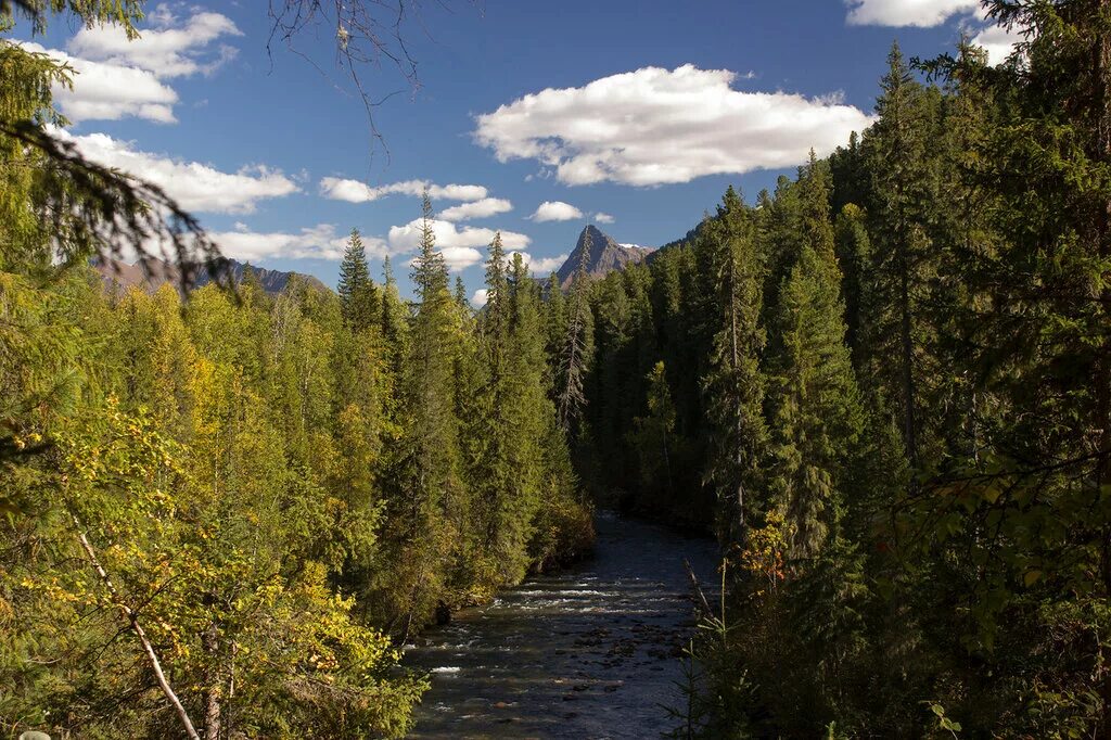 Хребет кузнецкий алатау. Восточная сибирь. Кузнецкий алатау (хребет каратау). Работа на саянах. Восточные и западные саяны.