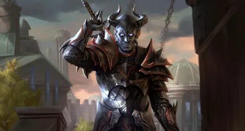 Elder top