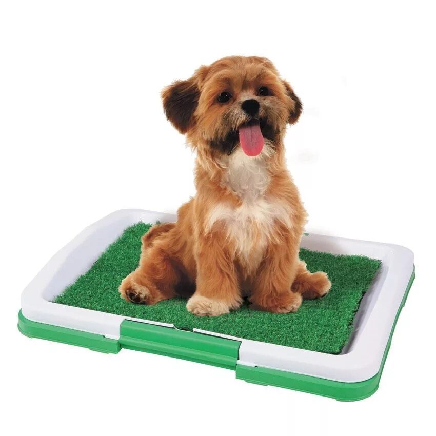 Туалет Puppy Potty Pad. Лоток для собак кобелей мелких пород. Туалет для собак Triol p652 52х40х15 см. Туалет лоток для собак. Весы для собак и кошек