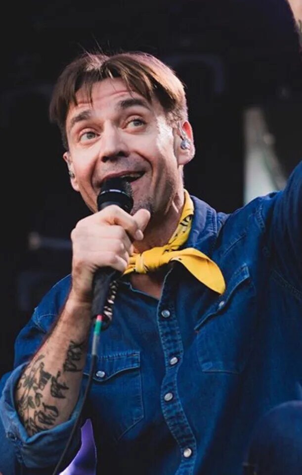 Эдельвейс ляпис. Эдельвейс цветок. Dresden группа. Растение эдельвейс альпийский. Эдельвейс ляпис.