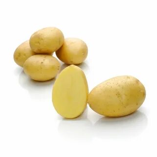 Картофель зекура характеристика сорта