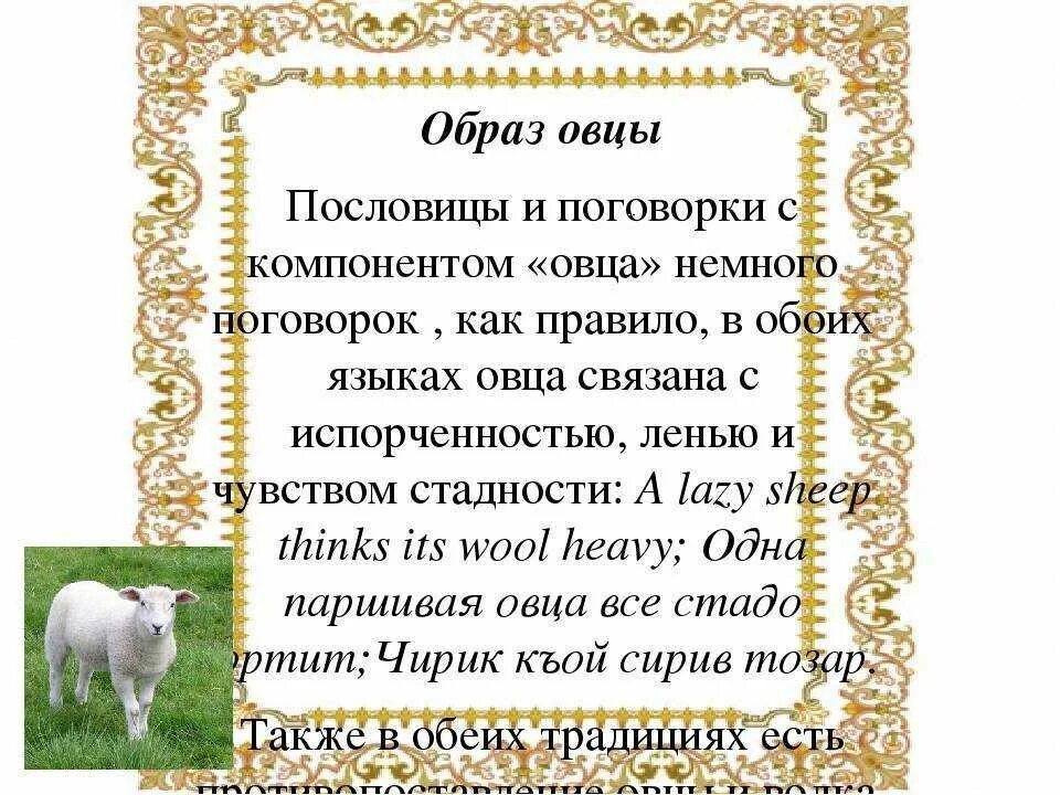 Паршивый значение. Пословицы про барана и овцу. Поговорки про овец и Баранов. Пословица про овцу. Пословицы про Баранов.