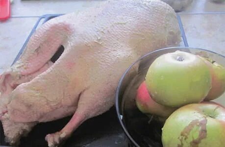 Какие яблоки в гуся