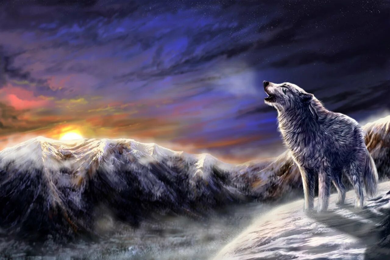 Есть добрые волки. Добрый волк. Утренний волк. Волк на скале арт. Волк утро.