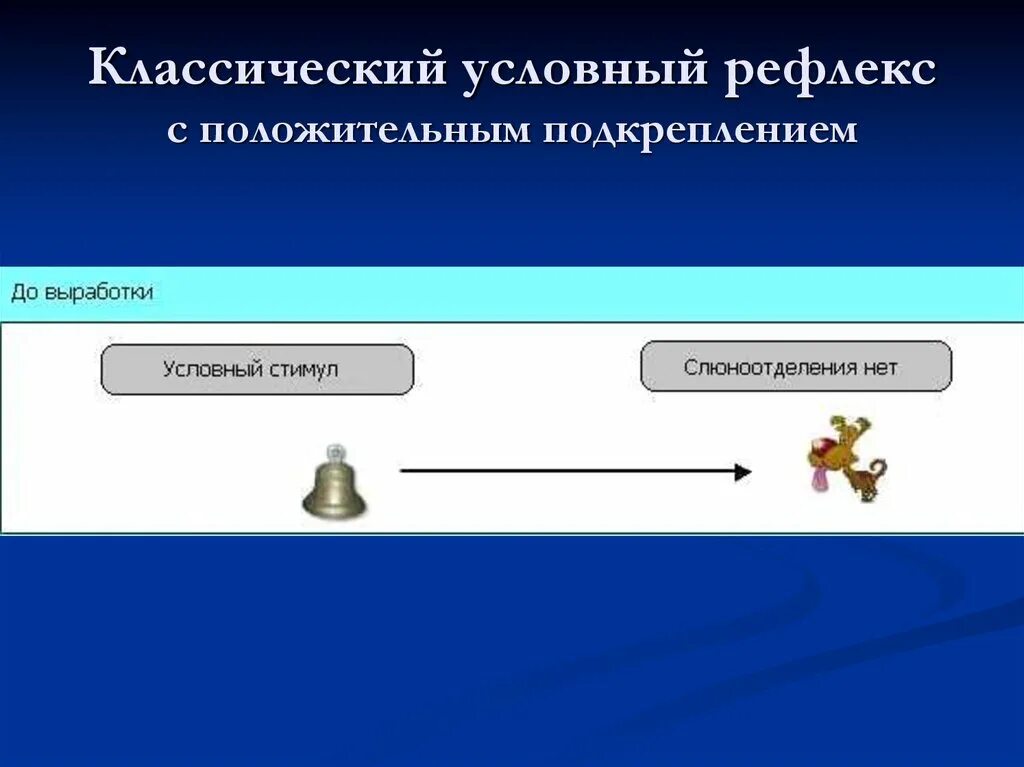 Положительные условные рефлексы. Отрицательный условный рефлекс. Положительные и отрицательные условные рефлексы. Классический условный рефлекс.